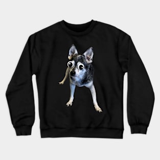 Chihuahua with Googly Eyes Crewneck Sweatshirt